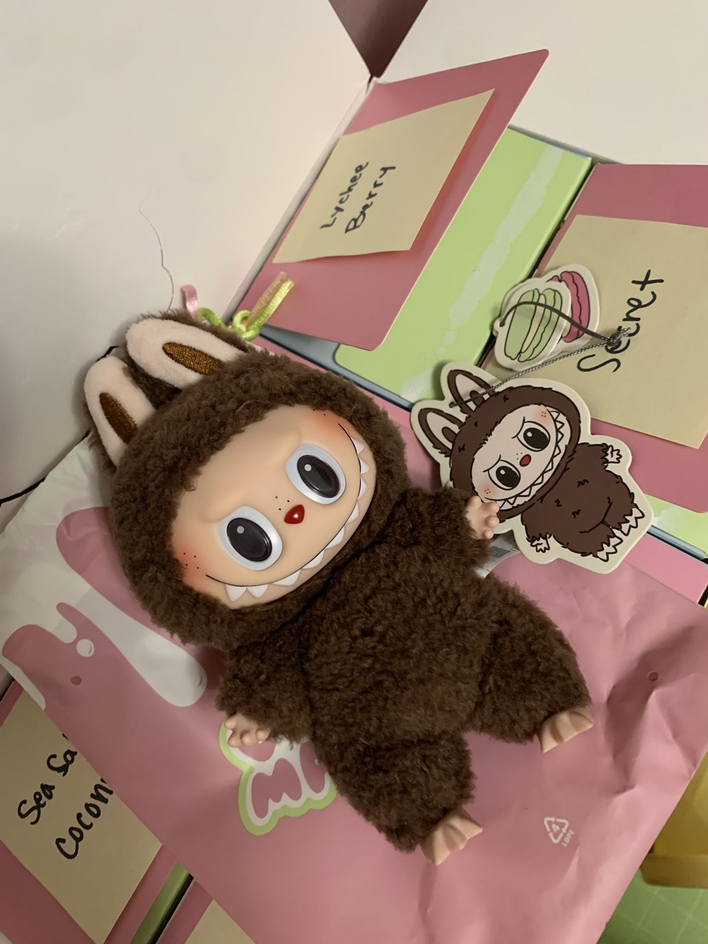 “Exciting Macaron” Chestnut cocoa secret