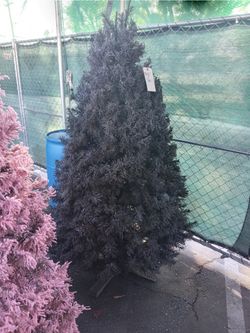 Jr's Christmas Trees 