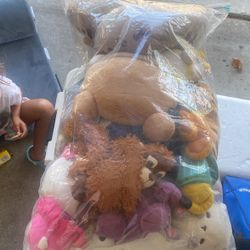 Variety Of Stuffed Animals 