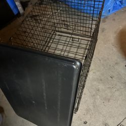 Dog Cage