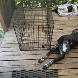 Dog Crate  36x22x24