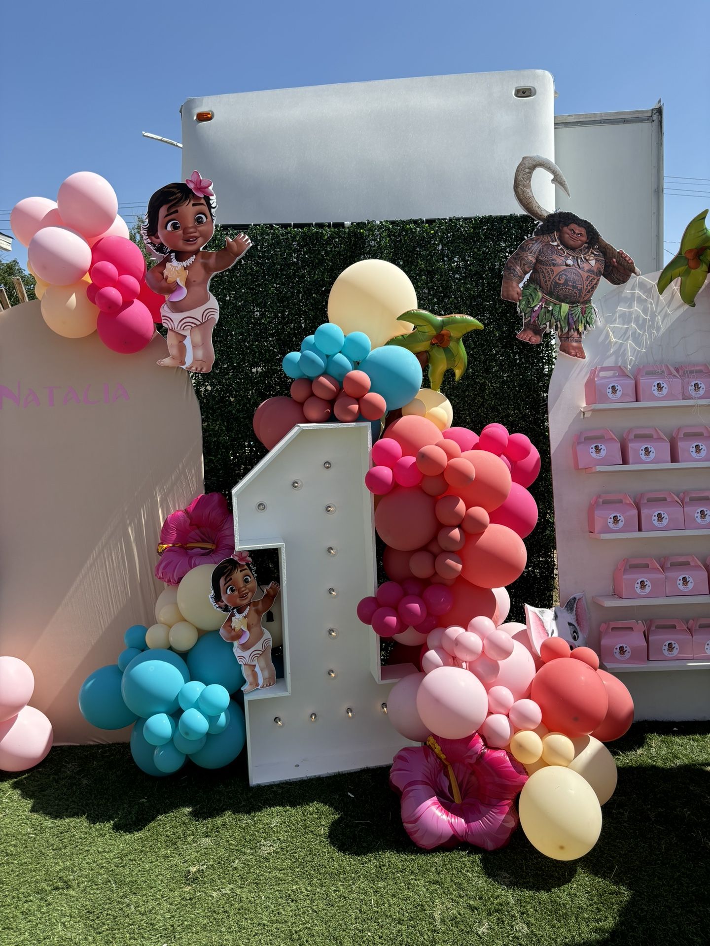 Balloon Garland