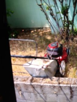 Red Gas-Powered Push Lawn Mower