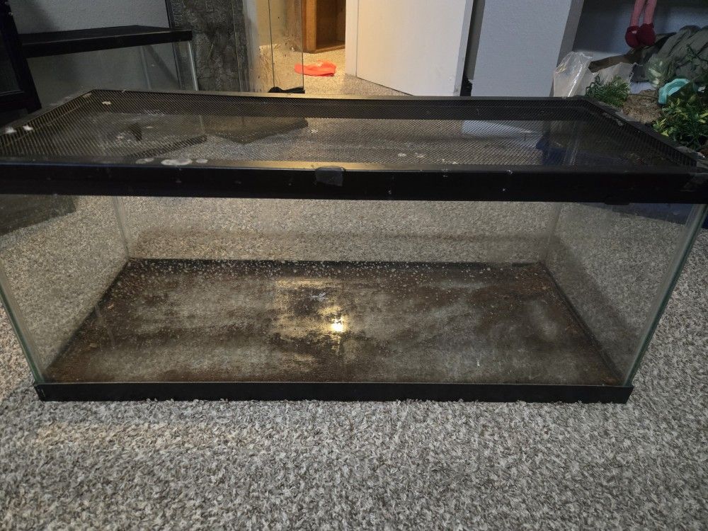 Fish Tank