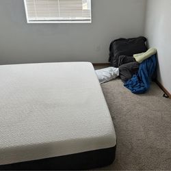 Free memory foam queen size mattress need gone Friday