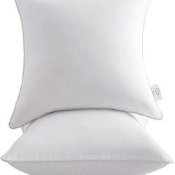 Pillow Inserts (Set of 2)-Throw Pillow Inserts-22 Inch Square Interior Sofa Pillow Inserts