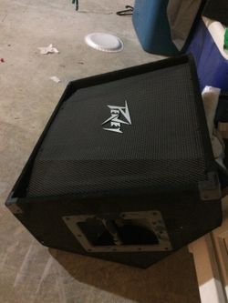 Peavy Speaker / Monitor