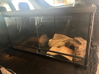 Glass Reptile Terrarium with Accessories