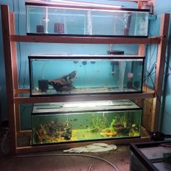 Fish Tank Supplies 