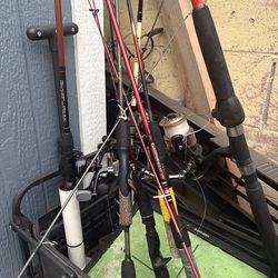 Fishing rods and combos