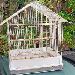 BIRD 🐦 CAGE 