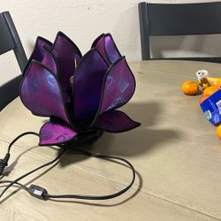 Beautiful Chinese Lamp 