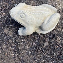 Cement Frog 10”L 5” H 8” W