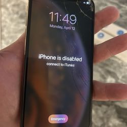 phone XS in Itunes Mode