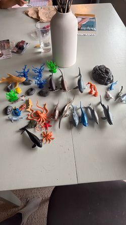 Ocean animal set and box
