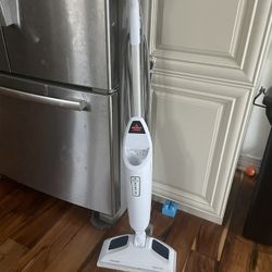 Bissell Steam Mop