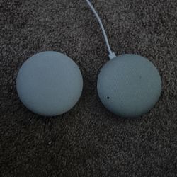 Google Homes