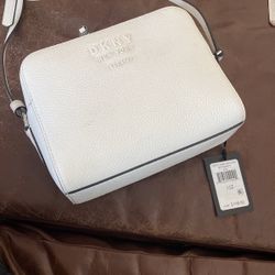 DKNY purse 