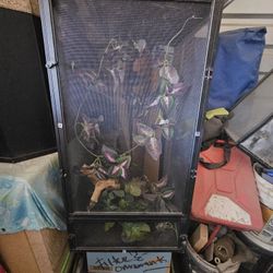 Reptile Indoor Enclosure 