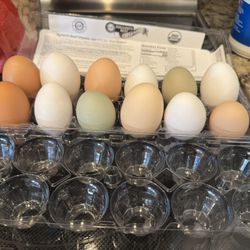 Fresh Eggs!