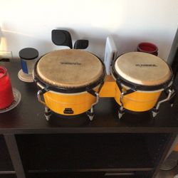 Bongos, marathon, Siri, AAA, MENINL