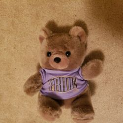 Stuffed Brown Bear Made By CBA With Removeable Purple Shirt That Says "Pride" 