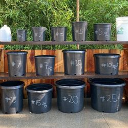 Nursery Pots ~ Inventory Clearance ~ All Sizes