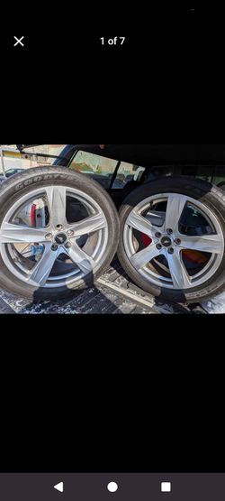 19" mustang tires