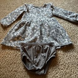 Baby Girl’s 24 Months Gray Floral Long Sleeve Dress