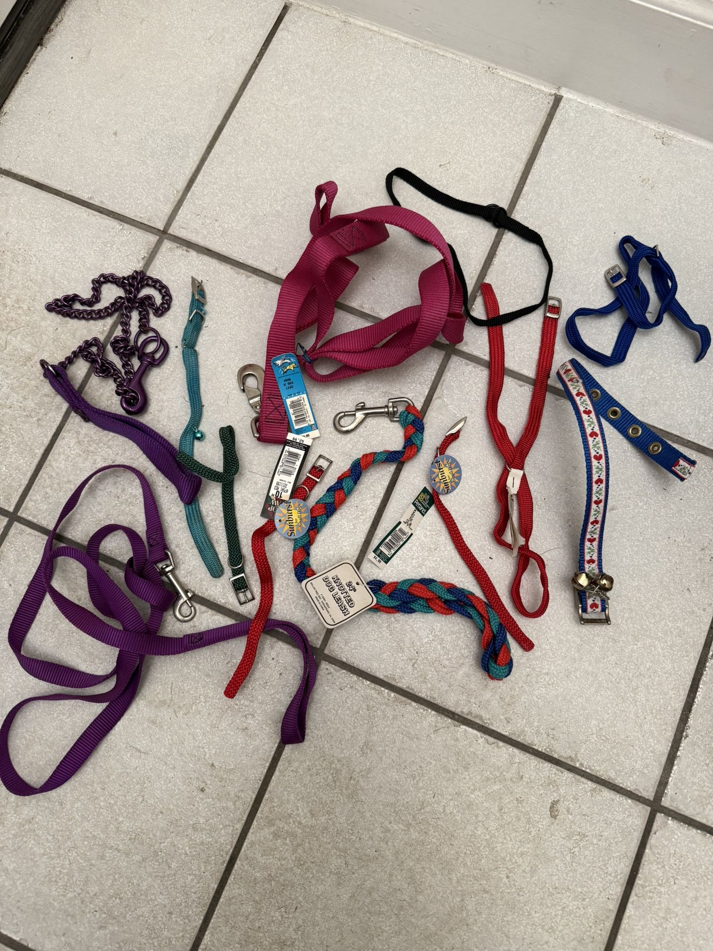 Dog Collars And Leashes