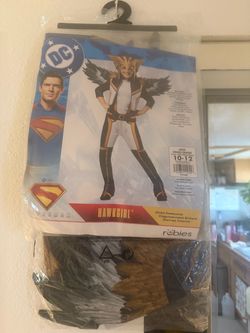 Super Man Hawk girl