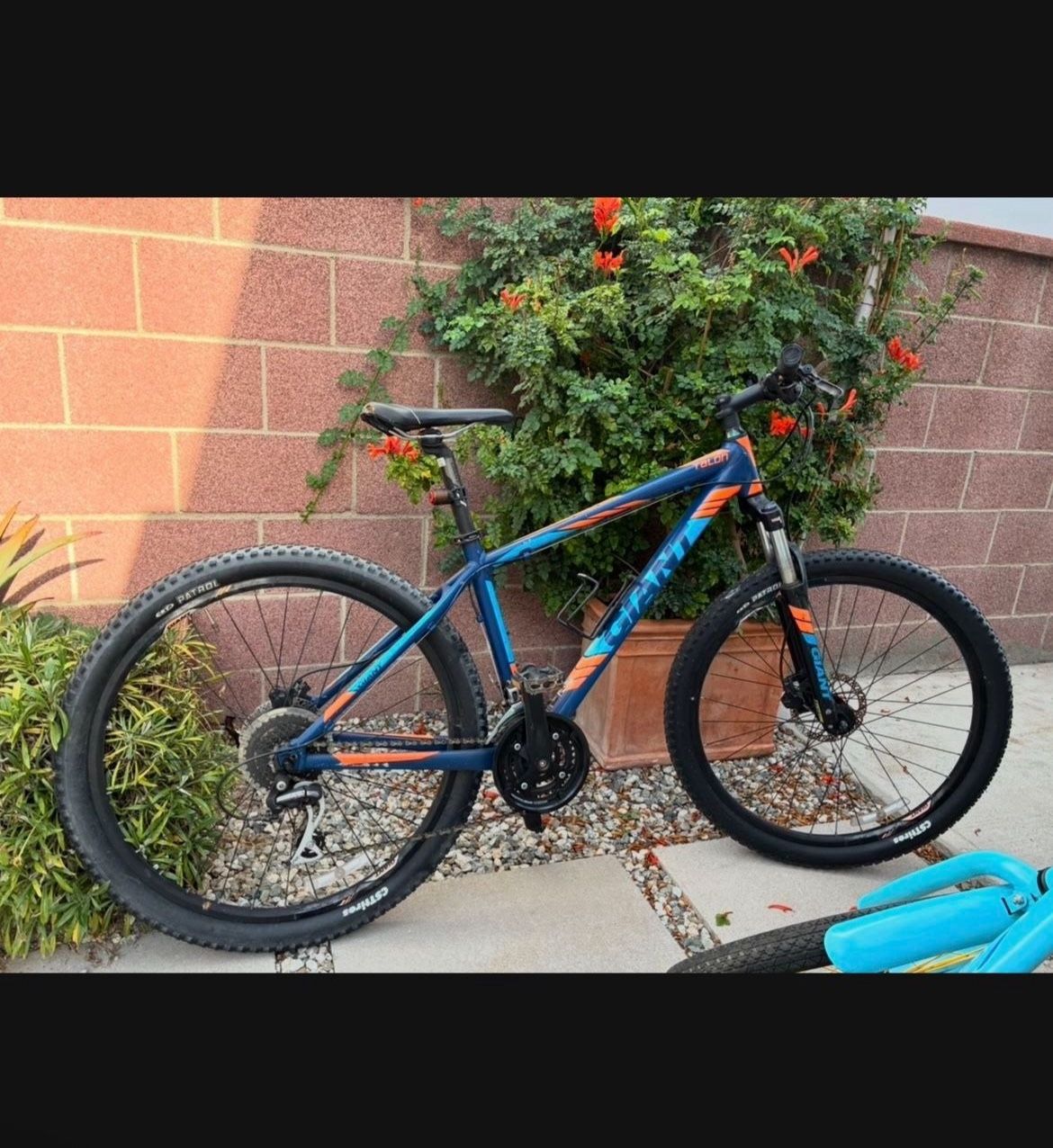 Mountain Bike