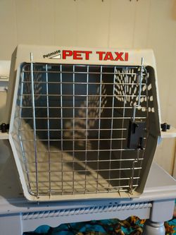 Pet Carrier Weight Size Unknown But Medium For Small Breed  Thumbnail