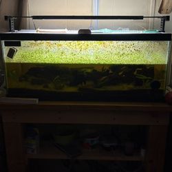 2 Full 20L Set Ups