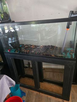 55 gallon aquarium