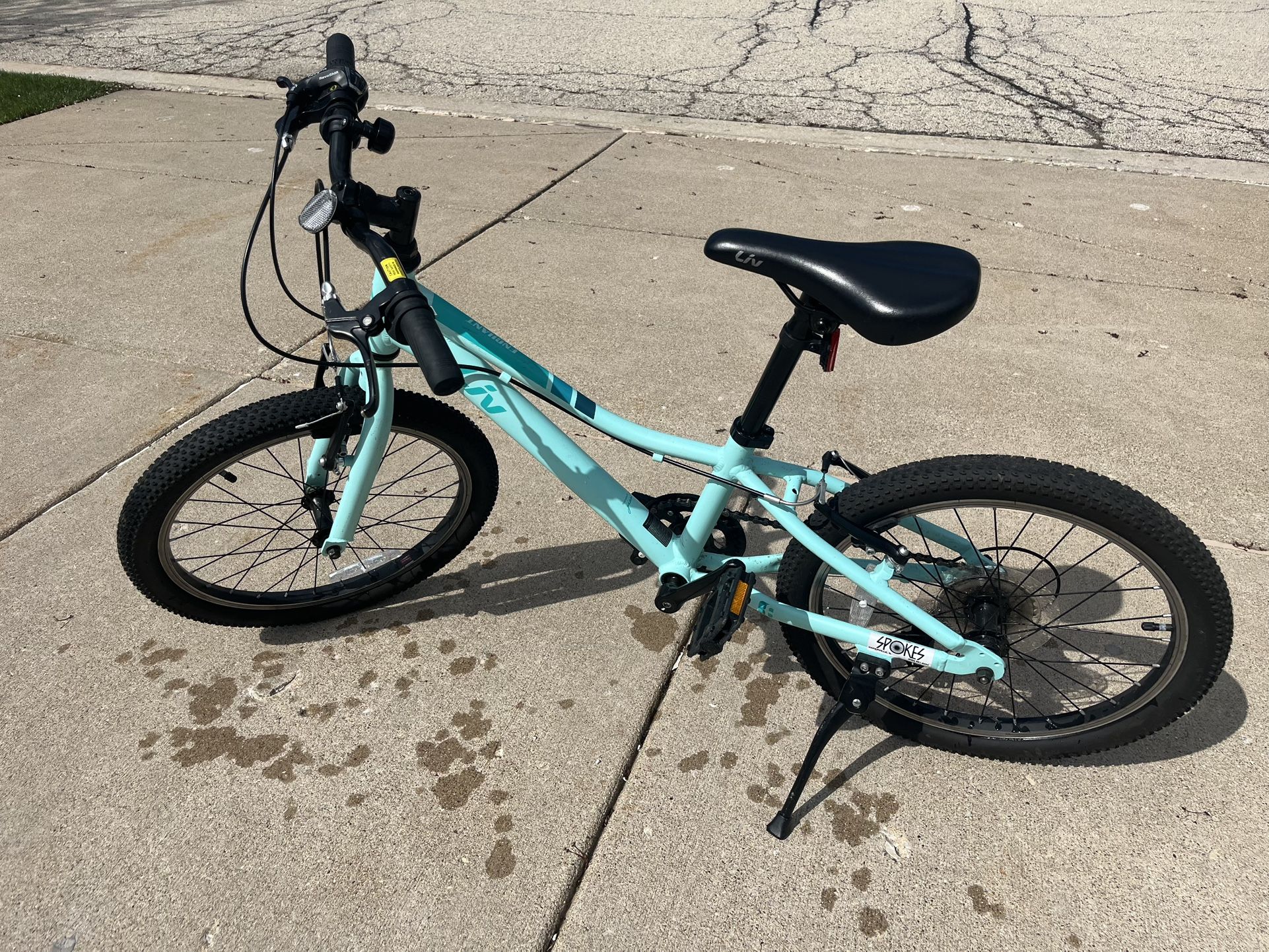 Liv Kids 20” Bike - Enchant