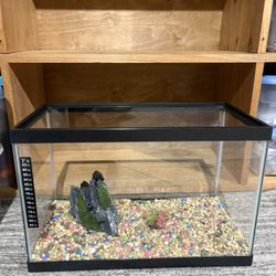 5-Gallon Fish Tank