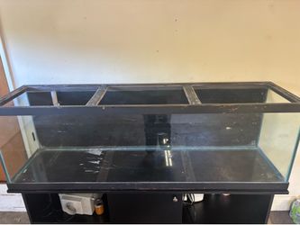 Fish tank