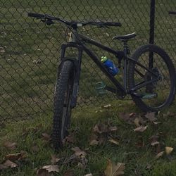 Vitus Sentier VRS