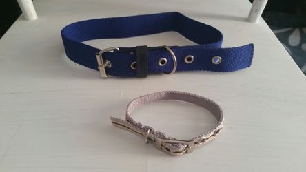 Animal collars