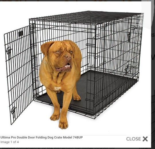 Life Styles Dog Cage 🐕 ❤️ 