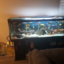 I Have A 125 Gallon Fiah Tank And It Comes With Extras As Must Be Sold Togather Want Sell No Fish Sorry