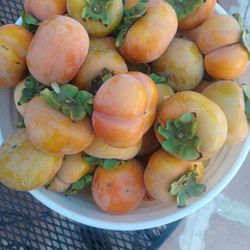 Percimos  $7 For 12 Pcs