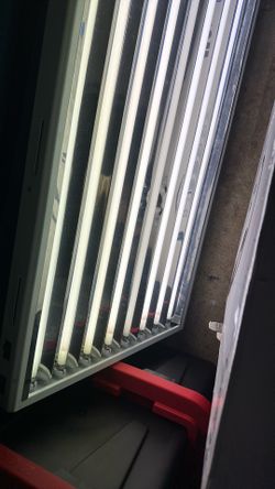 2 t5 4x8 ultra grow fluorescent fixture