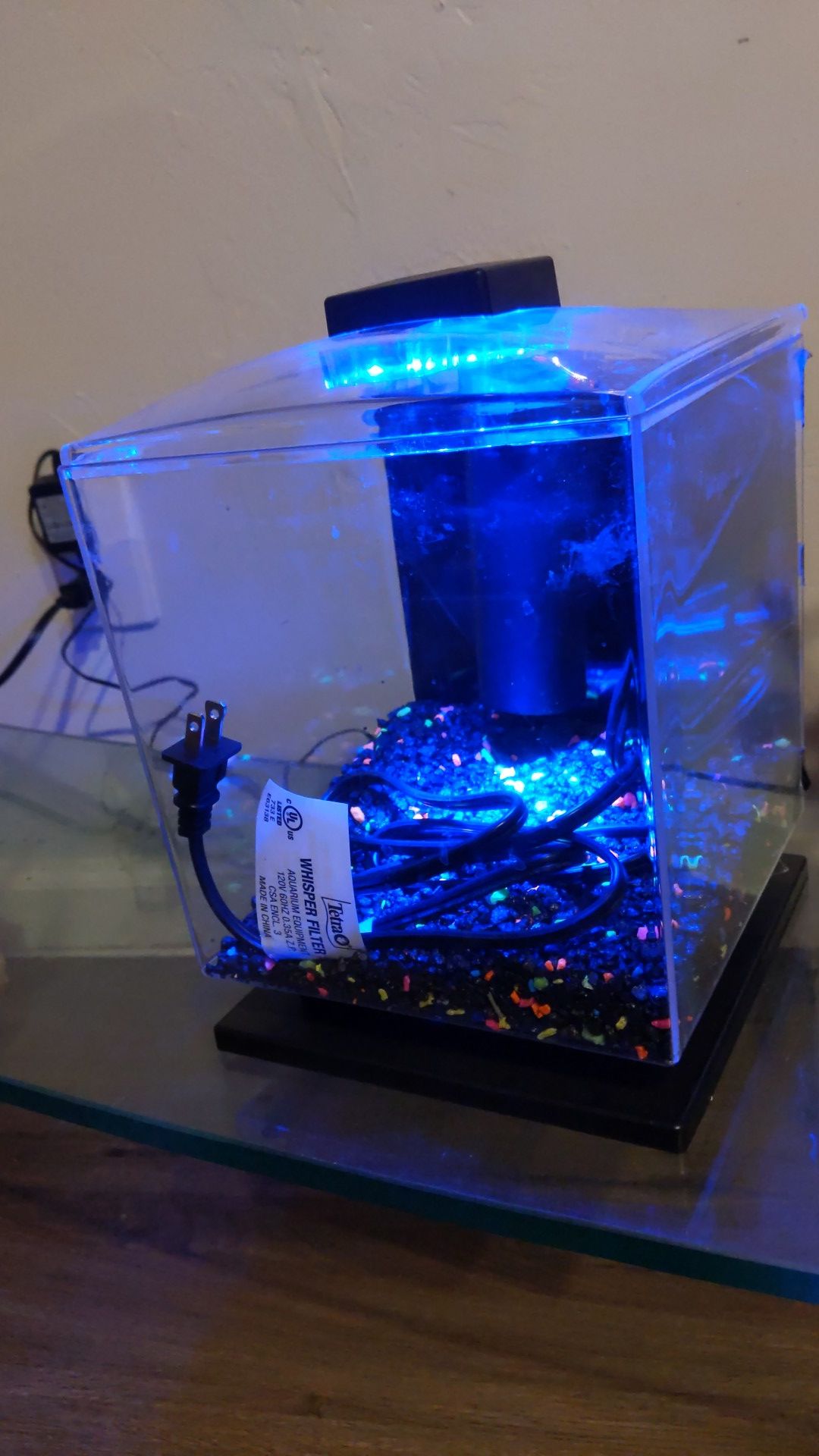 Led glow fish tank