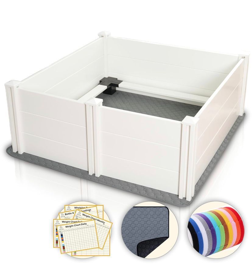 40x40 in Whelping Box for Dogs and Puppies with Rails