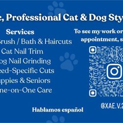 Professional cat & Dog Stylist