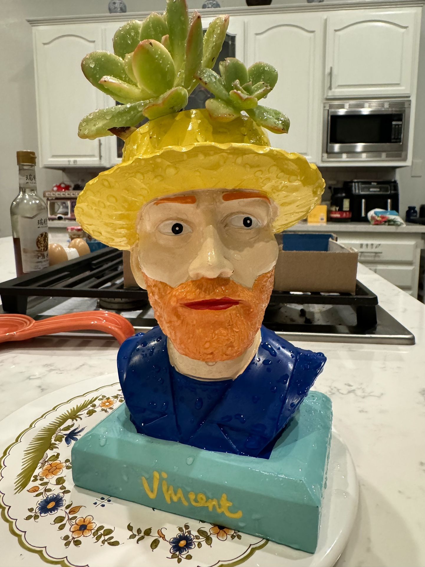 π» π₯ π» π₯ π» Vicent Van Gogh Head Planter w Sunburst Succulents πͺ΄