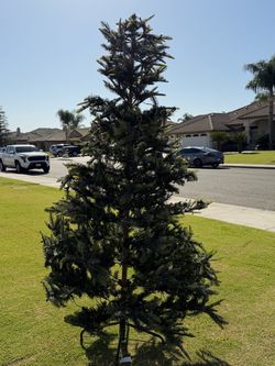Christmas tree