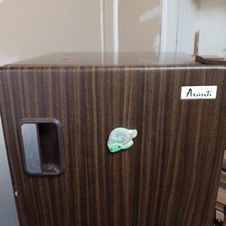 Mini Fridge